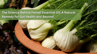 The Science Behind Fennel Essential Oil: A Natural Remedy for Gut Health and Beyond