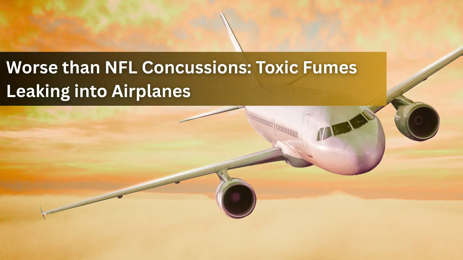 his image features an airplane in flight, exploring the critical health risks associated with toxic fume events inside commercial aircraft.