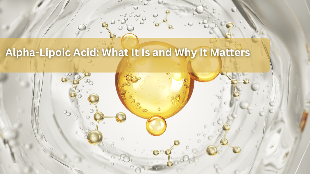 Alpha-Lipoic Acid: What It Is and Why It Matters