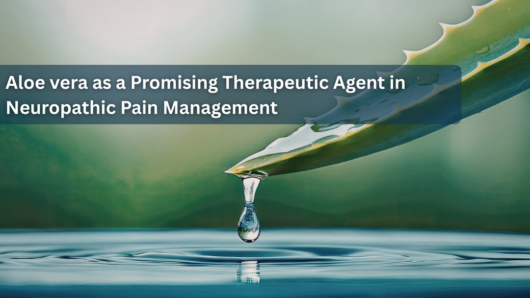 Aloe vera as a Promising Therapeutic Agent in Neuropathic Pain Management