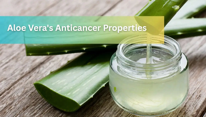 Aloe Vera's Anticancer Properties