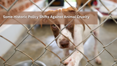 Some Historic Policy Shifts Against Animal Cruelty