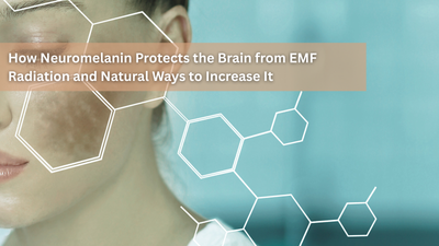 How Neuromelanin Protects the Brain from EMF Radiation and Natural Ways to Increase It