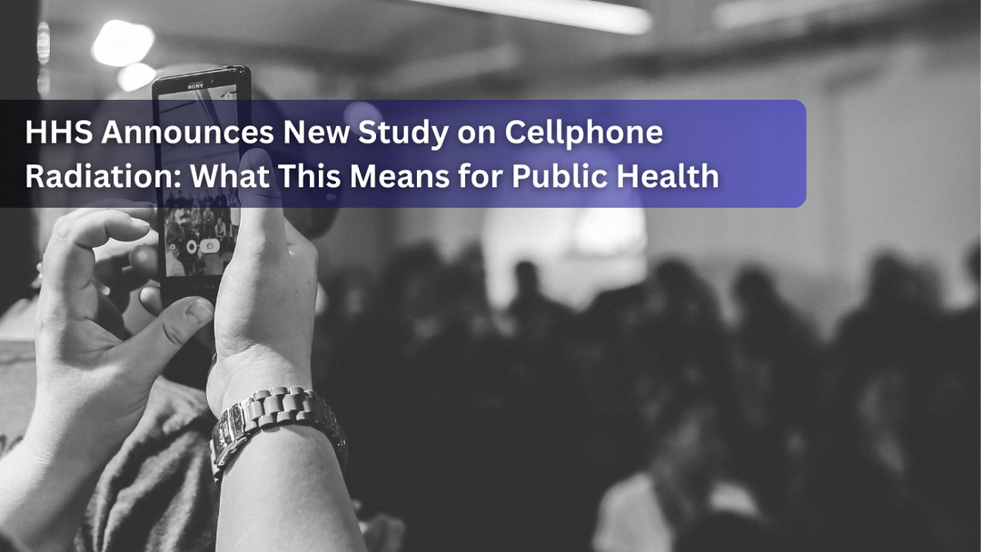 Hands holding a smartphone in a crowd with a headline about a new study on cellphone radiation.
