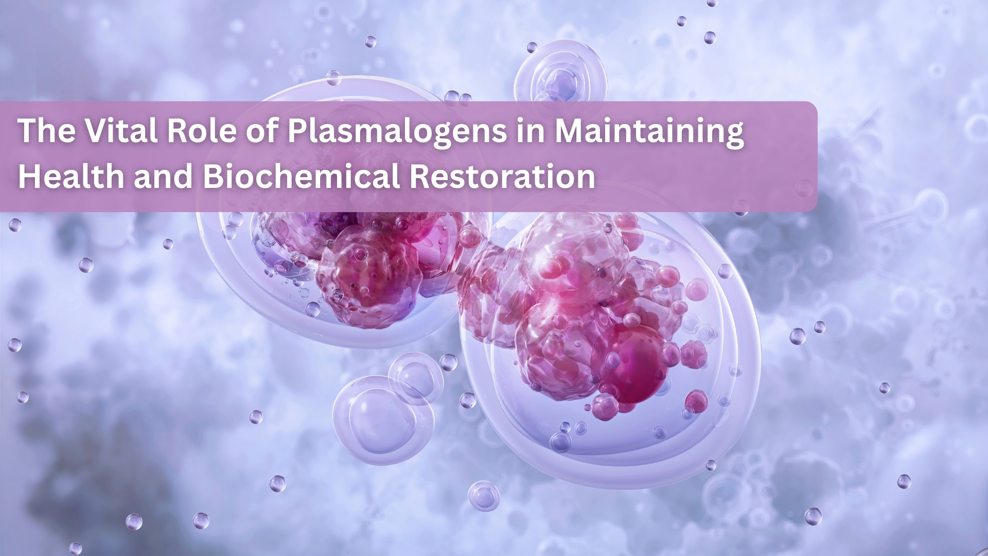 The Vital Role of Plasmalogens in Maintaining Health and Biochemical Restoration