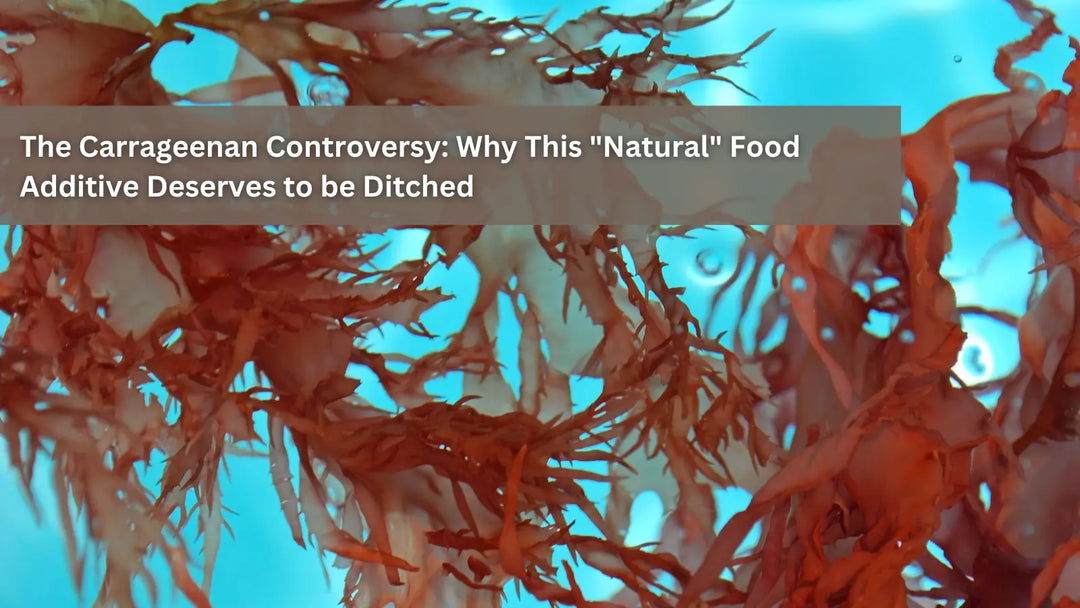  Close-up of red seaweed (carrageenan source) submerged in blue water, with the text "The Carrageenan Controversy: Why This 'Natural' Food Additive Deserves to be Ditched.