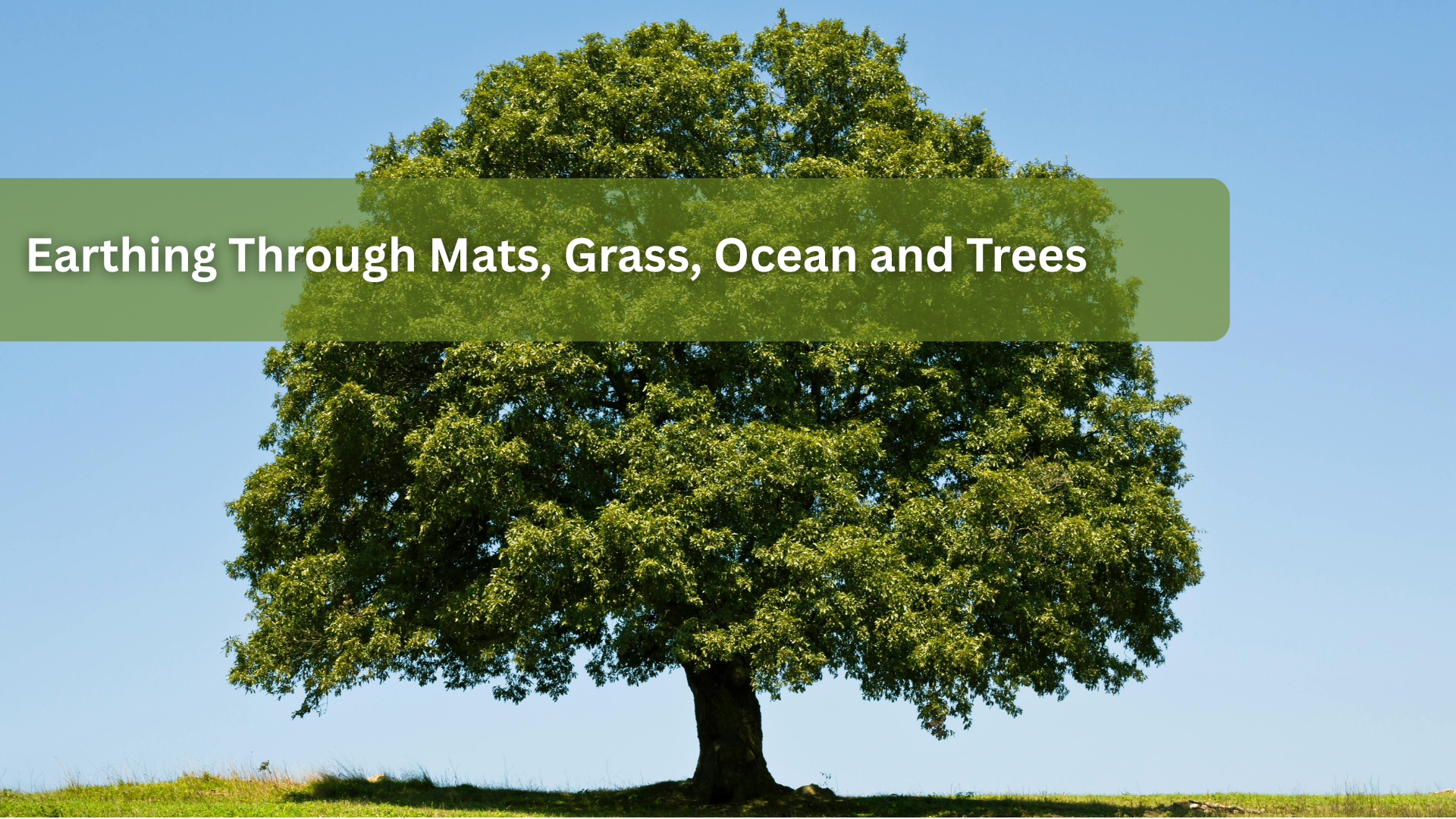 Earthing Through Mats, Grass, Ocean and Trees