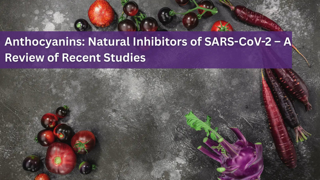  This image shows several purple and red tomatoes, long purple carrots, and a purple kohlrabi scattered on a dark, textured surface.