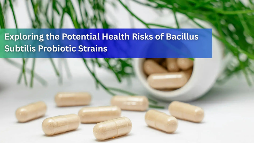 This image features a microscopic view of Bacillus subtilis, exploring the health benefits and safety concerns of this common spore-based probiotic.