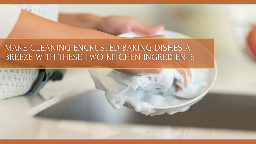  A person using a soapy sponge to wash a white dish over a kitchen sink.