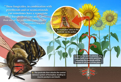 The Hidden Dangers of Common Pesticides and Herbicides