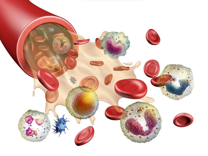 Example of an Optimal Blood Test Result