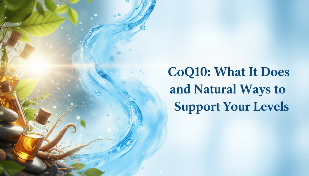 CoQ10: What It Does and Natural Ways to Support Your Levels