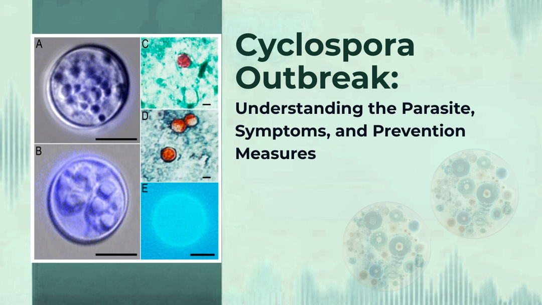 Cyclospora Outbreak: Understanding the Parasite, Symptoms, and Prevention Measures