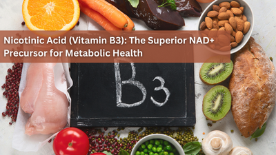 Nicotinic Acid (Vitamin B3): The Superior NAD+ Precursor for Metabolic Health