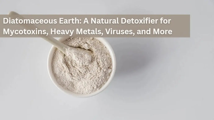 Diatomaceous Earth: A Natural Detoxifier for Mycotoxins, Heavy Metals, Viruses, and More