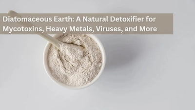 Diatomaceous Earth: A Natural Detoxifier for Mycotoxins, Heavy Metals, Viruses, and More