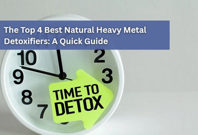 The Top 4 Best Natural Heavy Metal Detoxifiers: A Quick Guide