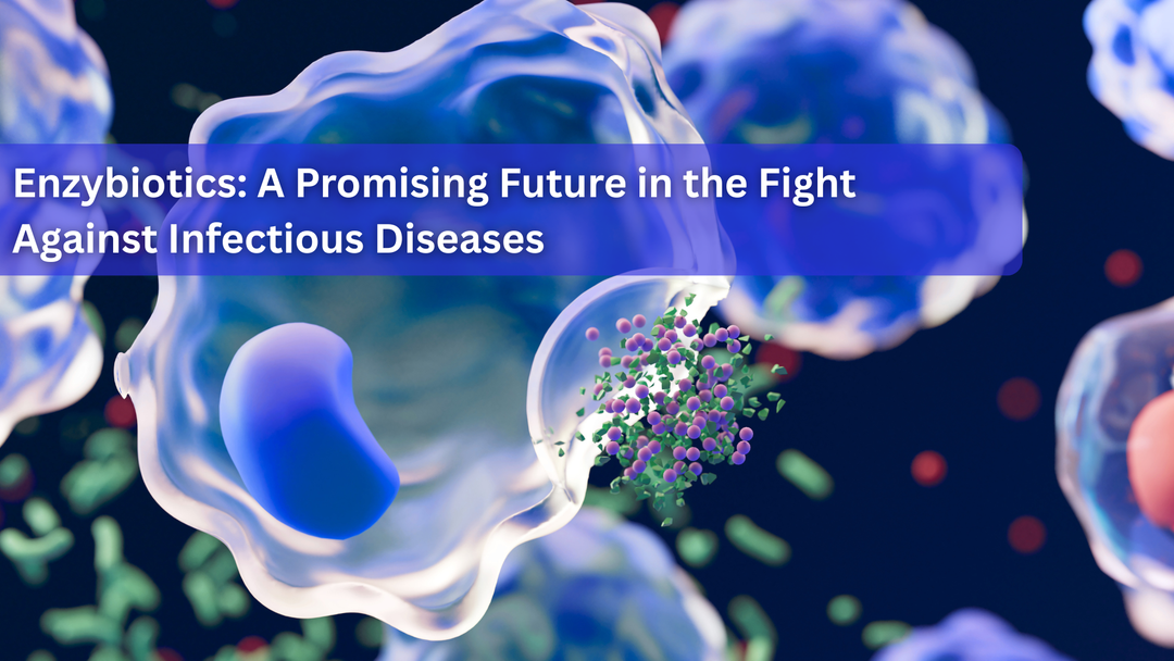 Enzybiotics: A Promising Future in the Fight Against Infectious Diseases