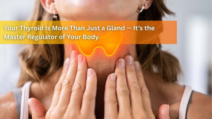 Your Thyroid Is More Than Just a Gland — It’s the Master Regulator of Your Body
