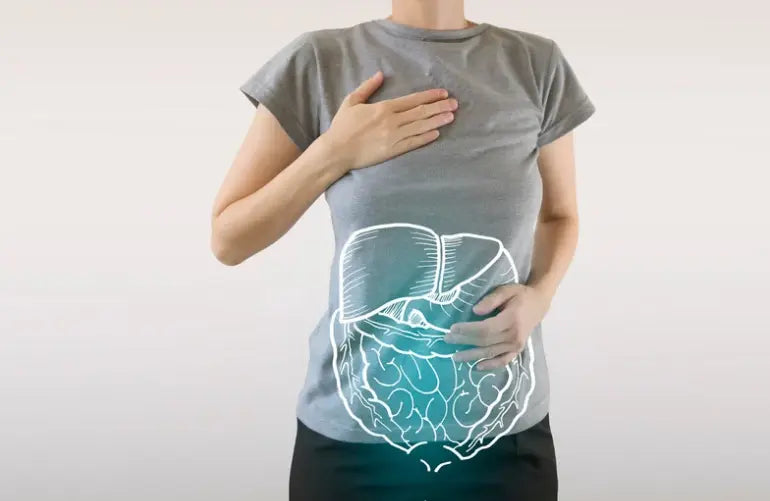 Does-the-Average-Person-have-5-15-lbs-of-Poop-Stuck-in-Their-Gut-How-To-Remove-Toxic-Intestinal-Sludge Dr. Clark Store