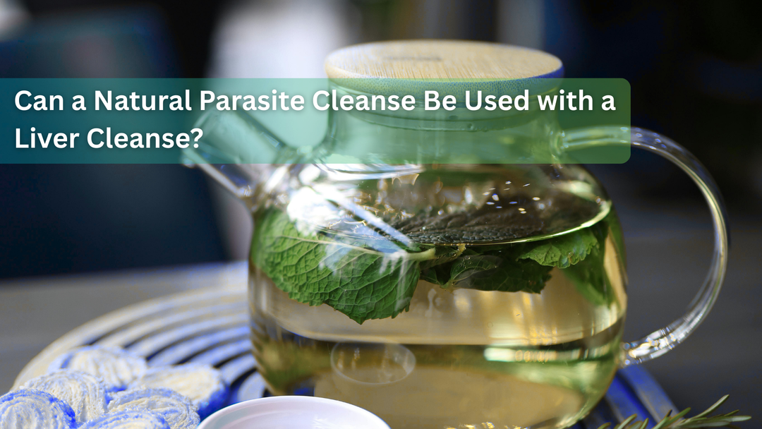 Can a Natural Parasite Cleanse Be Used with a Liver Cleanse?