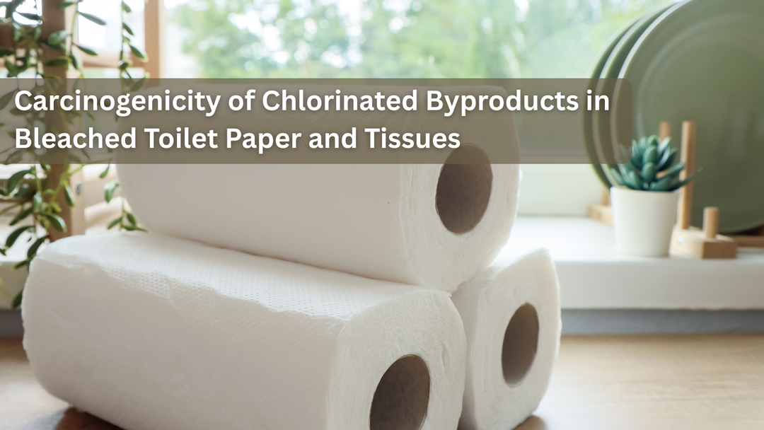 Carcinogenicity of Chlorinated Byproducts in Bleached Toilet Paper and Tissues