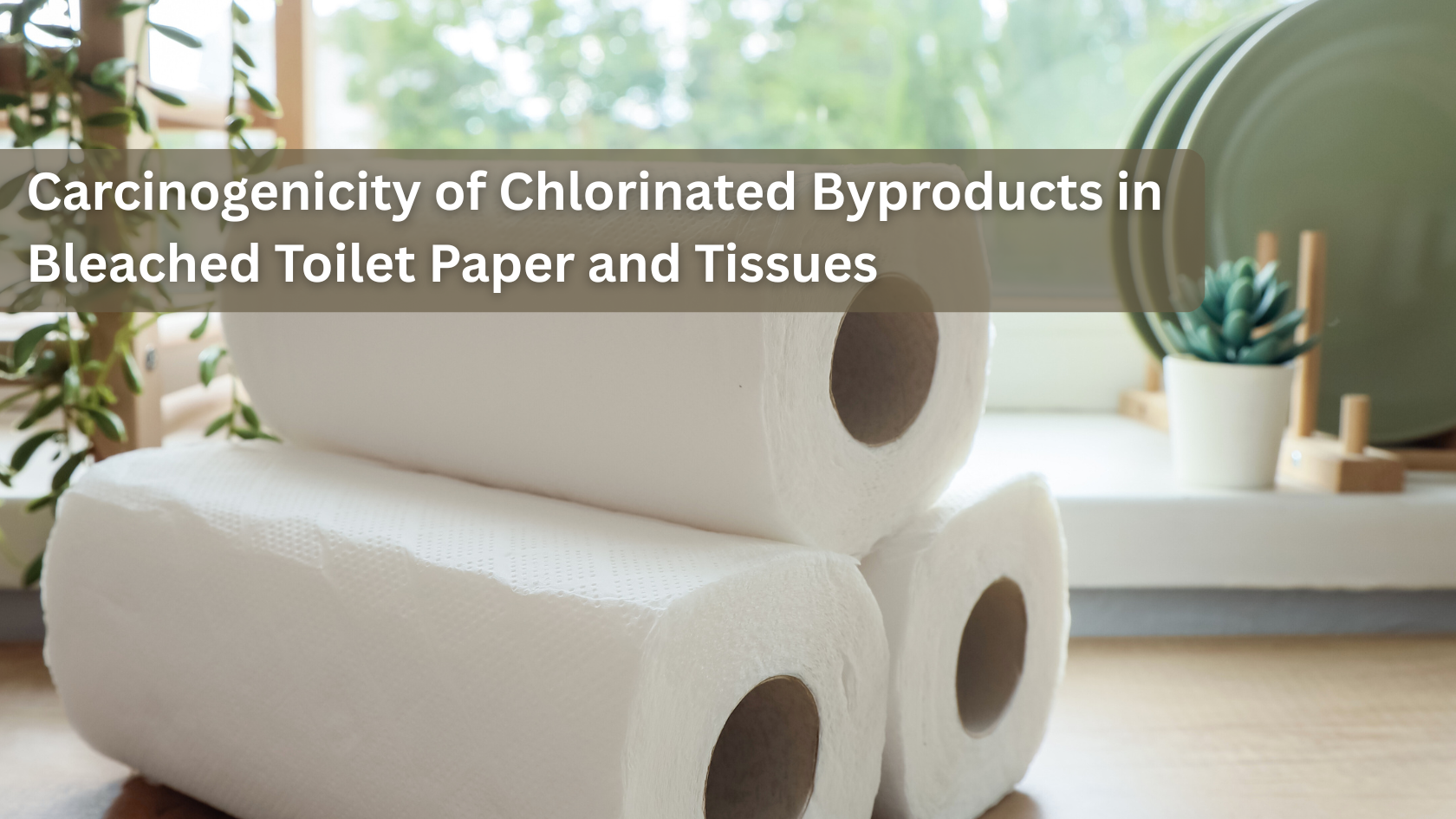 Carcinogenicity of Chlorinated Byproducts in Bleached Toilet Paper and Tissues