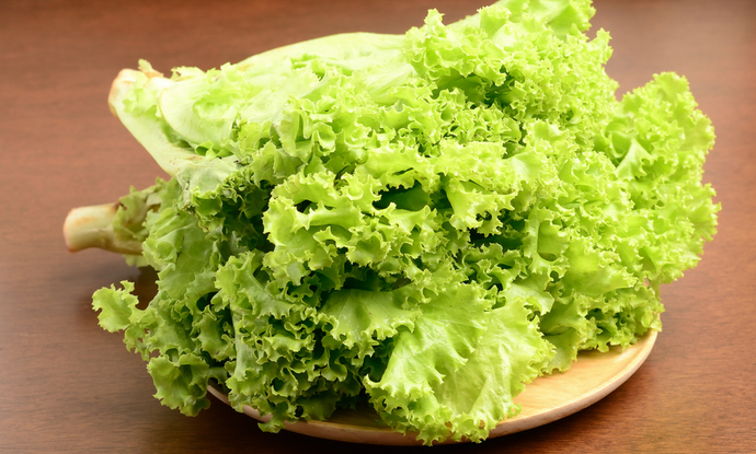 The Incredible Benefits of Lettuce for Human Health