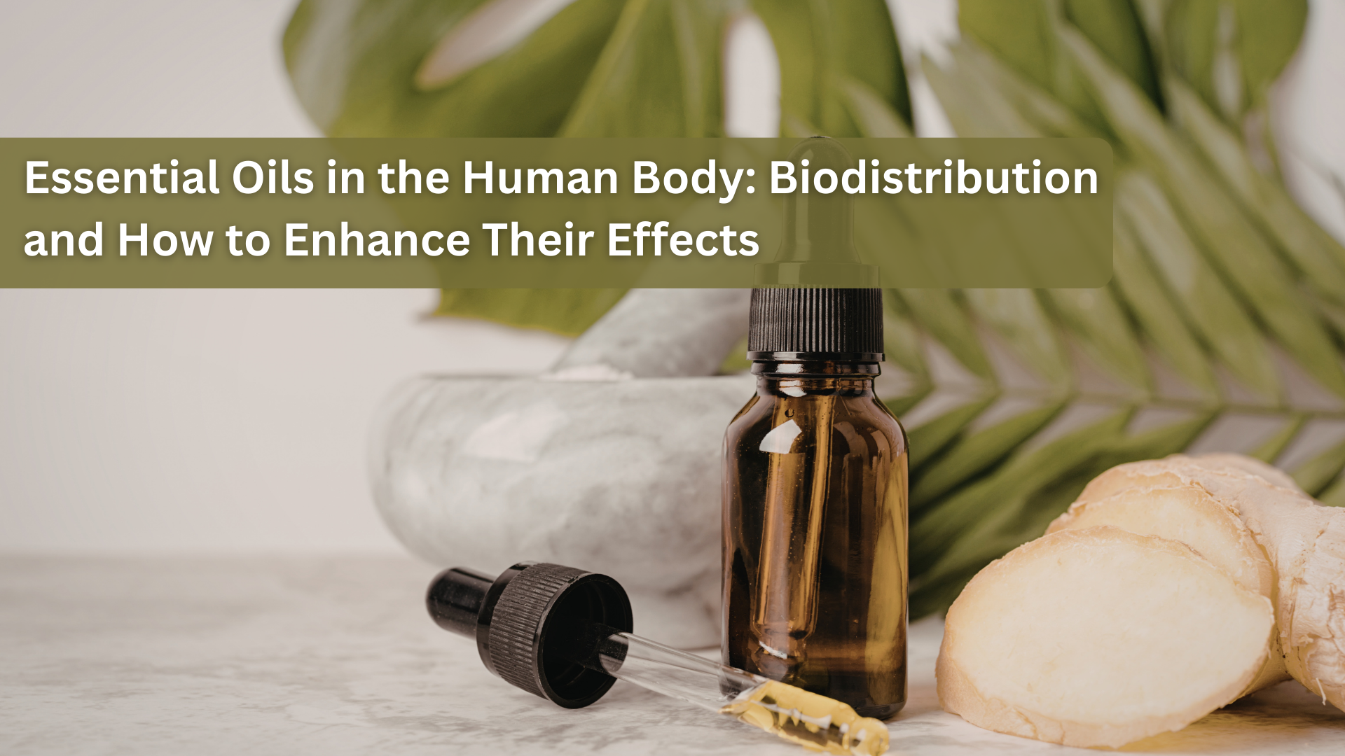 Essential Oils in the Human Body: Biodistribution and How to Enhance Their Effects
