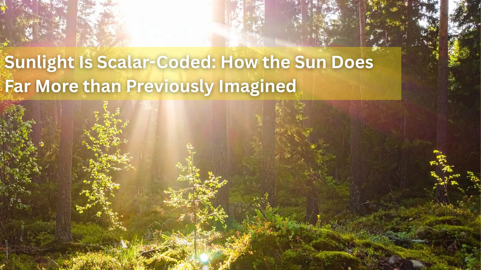 Benefits of Sunlight Exposure: How Scalar-Coded Sunlight Boosts Health ...