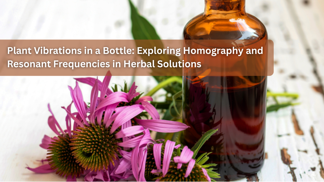 Plant Vibrations in a Bottle: Exploring Homography and Resonant Frequencies in Herbal Solutions