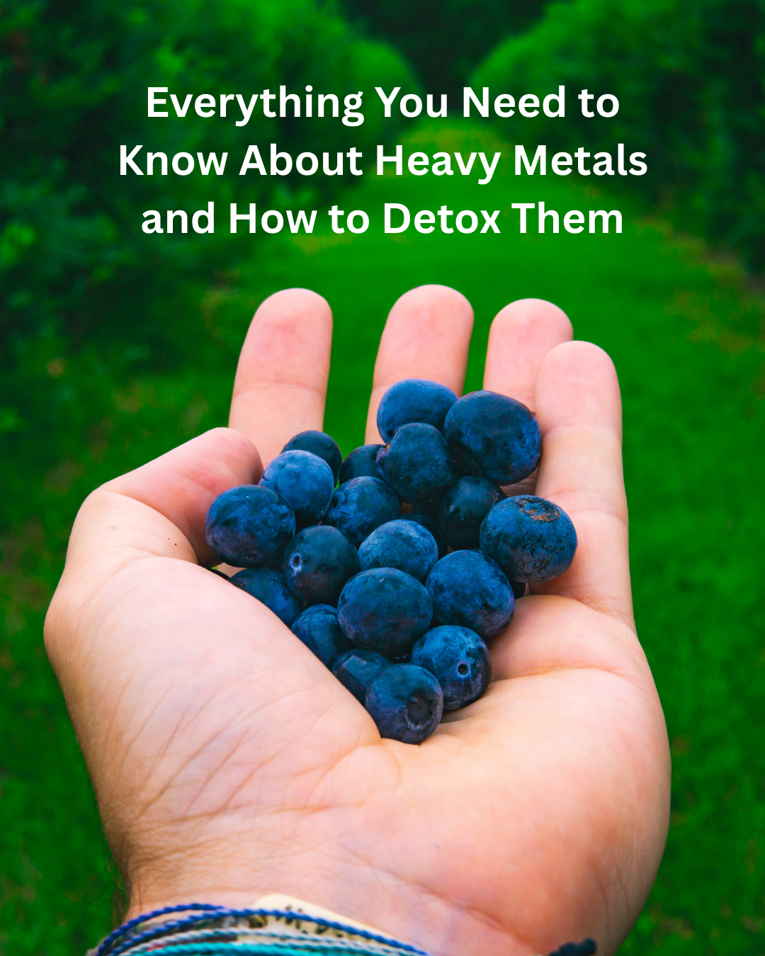Everything You Need to Know About Heavy Metals — and How to Detox Them