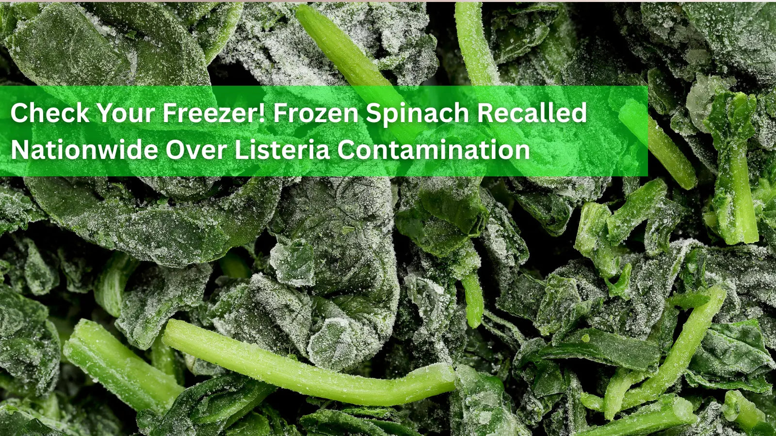  A close-up of dark green, frost-covered frozen spinach leaves, alerting viewers to a nationwide recall due to Listeria.