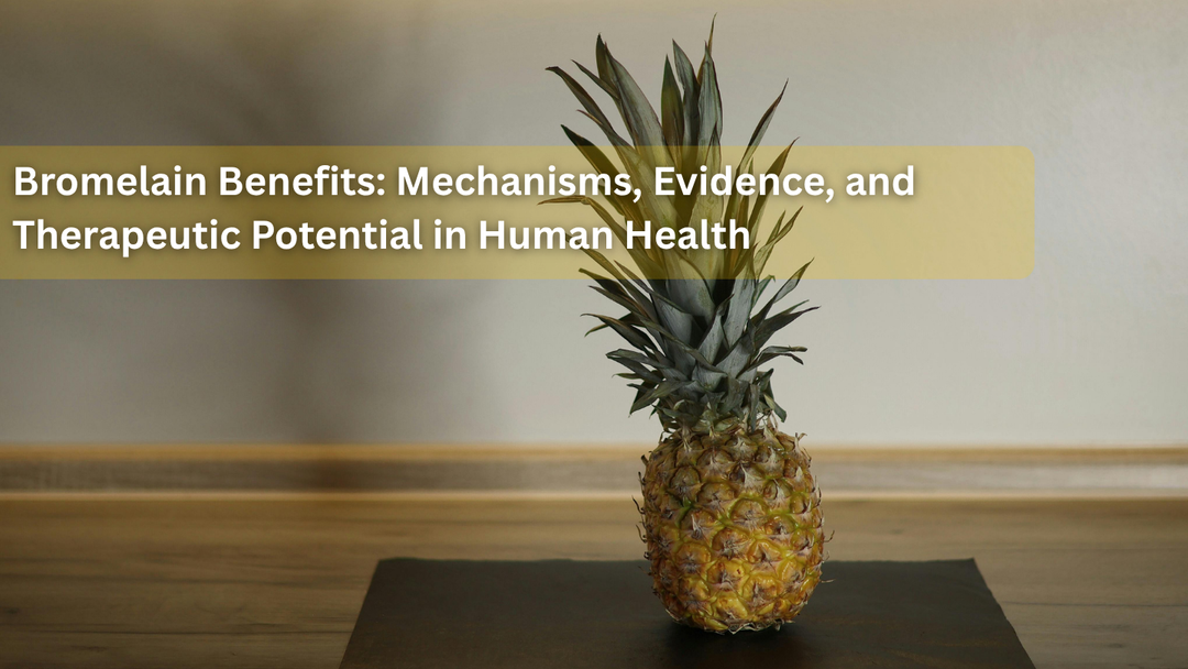 Bromelain Benefits: Mechanisms, Evidence, and Therapeutic Potential in Human Health