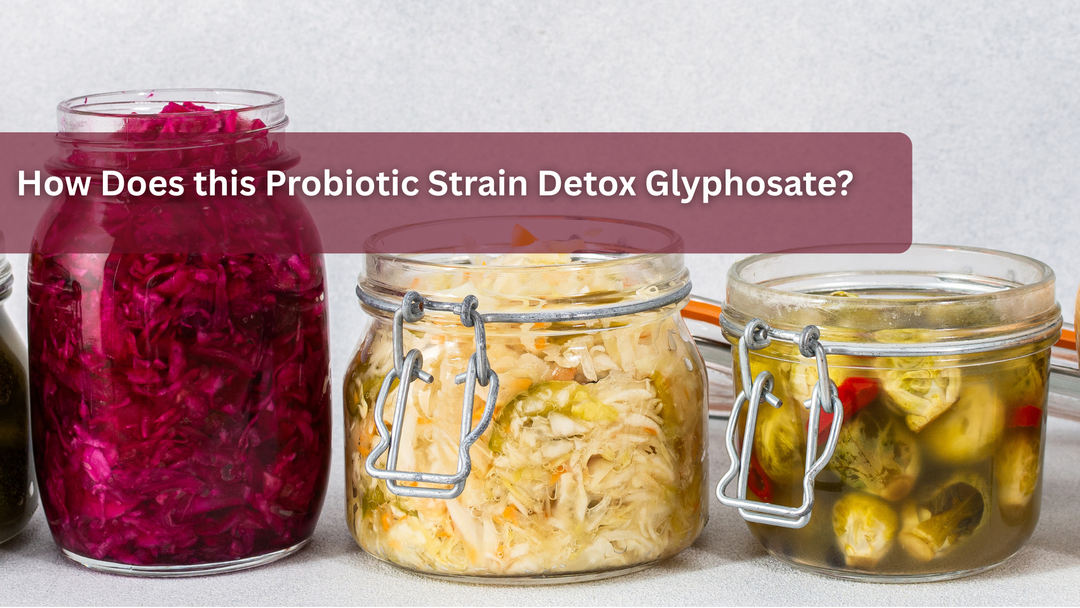 How Does this Probiotic Strain Detox Glyphosate?