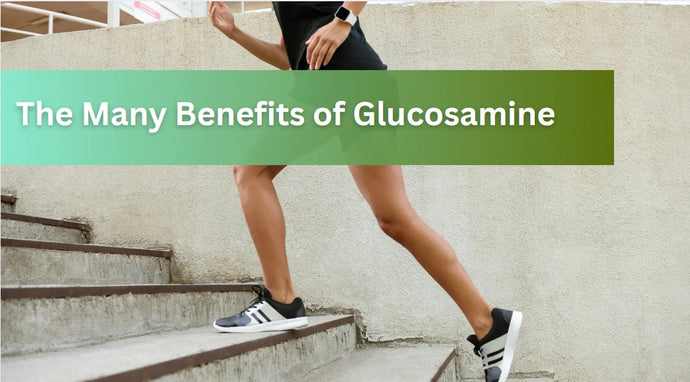 The Many Benefits to Glucosamine Supplementation and their Scientific Mechanisms