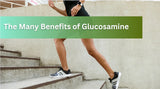 The Many Benefits to Glucosamine Supplementation and their Scientific Mechanisms