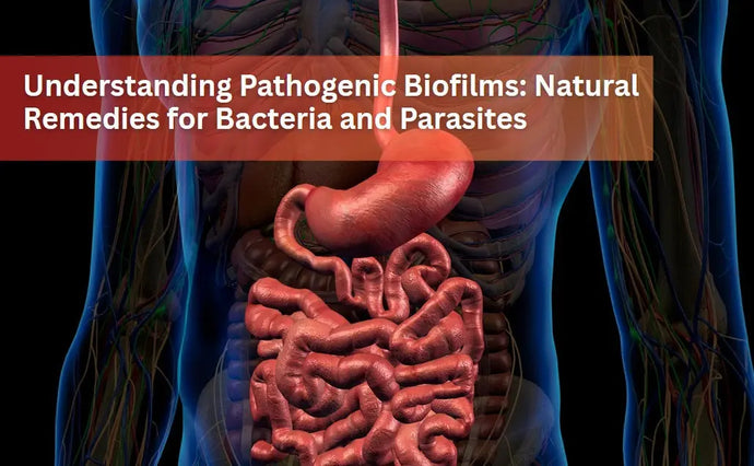 Understanding Pathogenic Biofilms and Natural Remedies for Bacteria and Parasites
