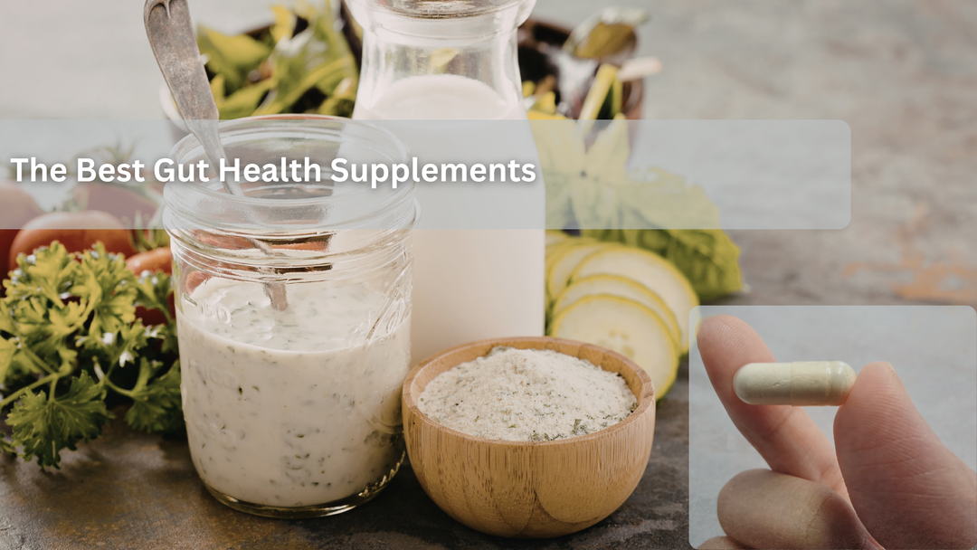 The Best Gut Health Supplements And Fermented Foods for Digestion
