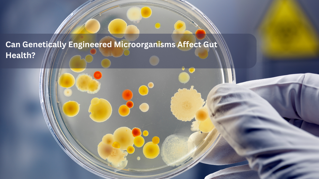 Can Genetically Engineered Microorganisms Affect Gut Health?