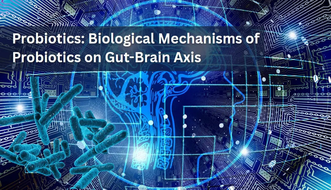 Probiotics-Biological-Mechanisms-of-Probiotics-on-Gut-Brain-Axis Dr. Clark Store