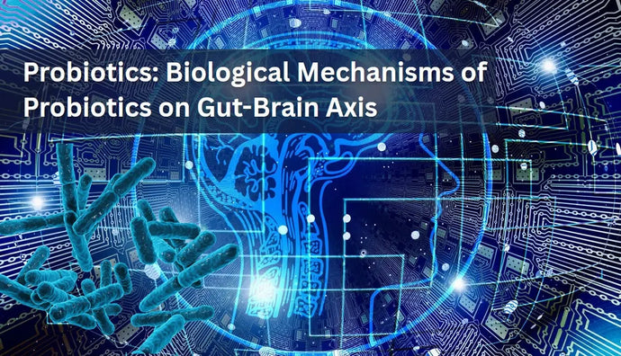Probiotics: Biological Mechanisms of Probiotics on Gut-Brain Axis
