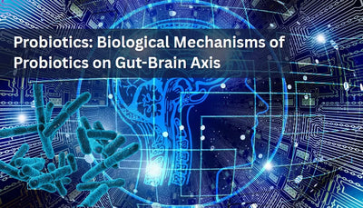 Probiotics: Biological Mechanisms of Probiotics on Gut-Brain Axis