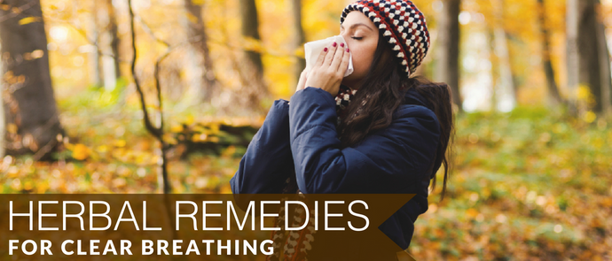 Herbal Remedies for Clear Breathing