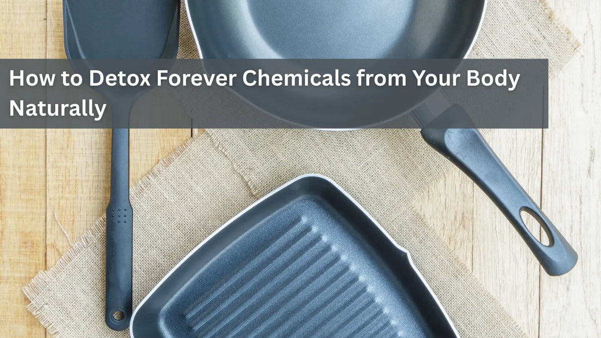 How to Detox Forever Chemicals from Your Body Naturally - Dr. Clark Store