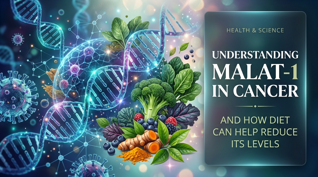 Understanding MALAT-1 in Cancer and How Diet Can Help Reduce Its Levels