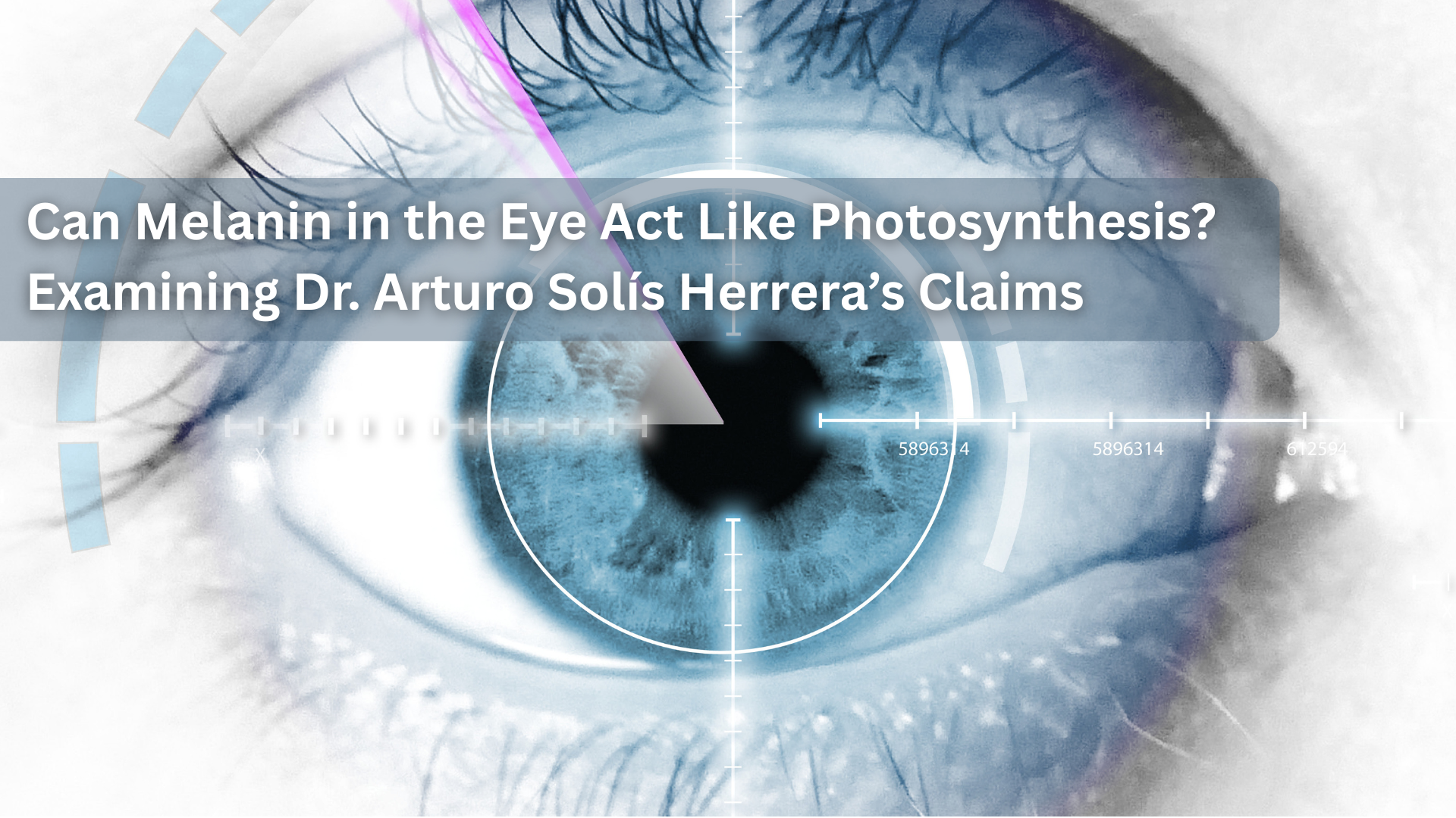 Can Melanin in the Eye Act Like Photosynthesis? Examining Dr. Arturo Solís Herrera’s Claims