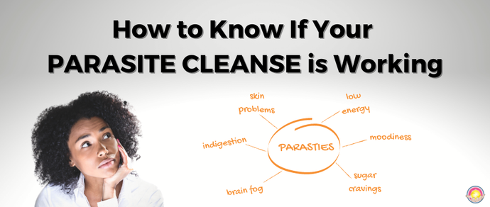 How to know if your parasite cleanse is working