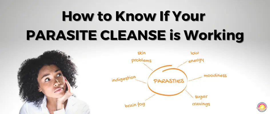 How to know if your parasite cleanse is working Dr. Clark Store